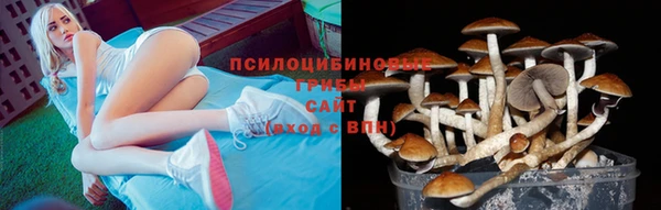 ПСИЛОЦИБИНОВЫЕ ГРИБЫ Алзамай