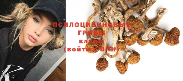 ГАЛЛЮЦИНОГЕННЫЕ ГРИБЫ Алексеевка